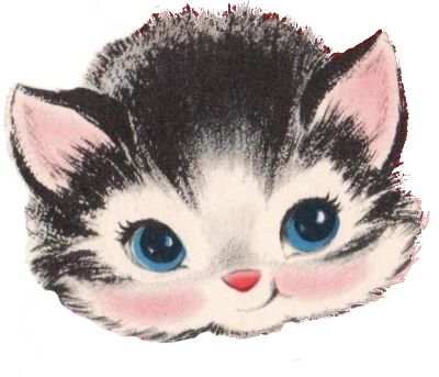 Card image cap